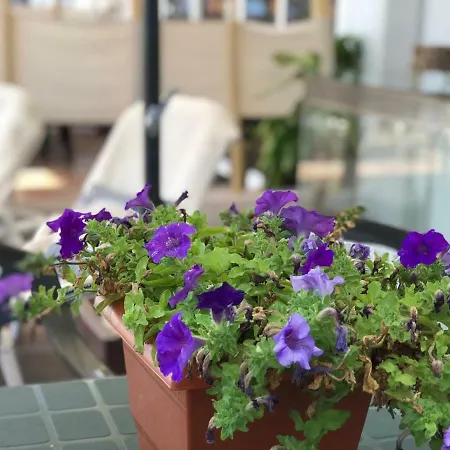 Marbella Bl.1 Apartment